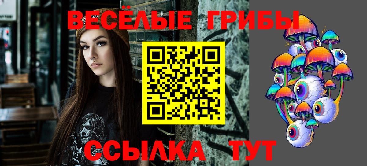 где купить наркотик  Псилоцибиновые грибы Magic Shrooms  Губкинский  Вход с VPN  Галлюциногенные грибы ЛСД 